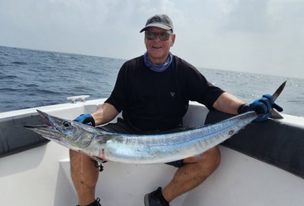 20250119_103757 hape hussain Kopie.jpeg