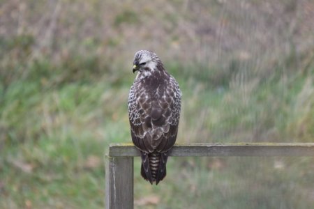 DSC_2130.JPG