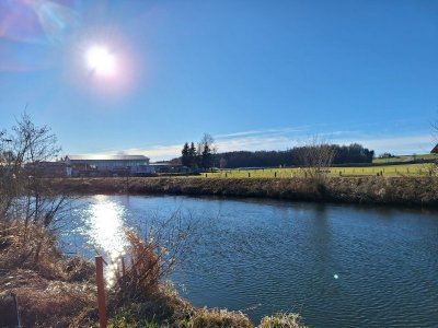 IMG-20250126-WA0007.jpg IMG-20250126-WA0007.jpg