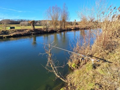 IMG-20250126-WA0008.jpg IMG-20250126-WA0008.jpg