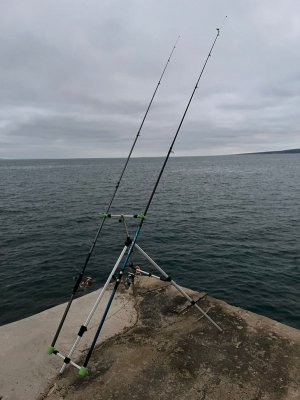 WhatsApp Image 2025-01-25 at 19.46.31.jpeg