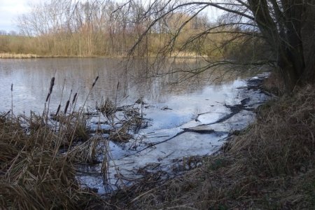 DSC04111.JPG DSC04111.JPG