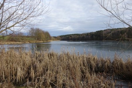 DSC04116.JPG DSC04116.JPG