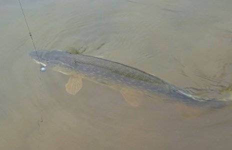 DSC04147.JPG DSC04147.JPG