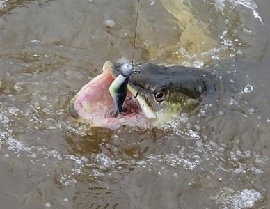 DSC04156.JPG DSC04156.JPG