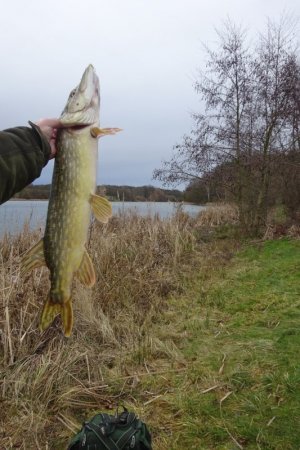 DSC04170.JPG DSC04170.JPG