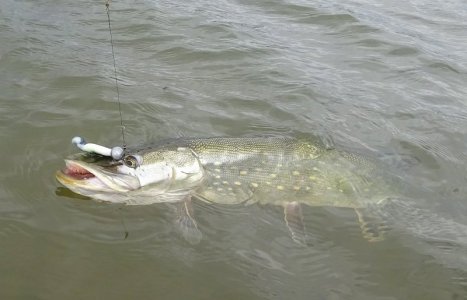 DSC04192.JPG DSC04192.JPG