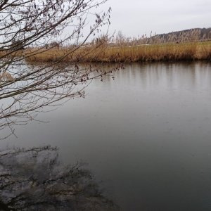 20250127_153429.jpg 20250127_153429.jpg