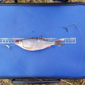 20250127_150337.jpg 20250127_150337.jpg