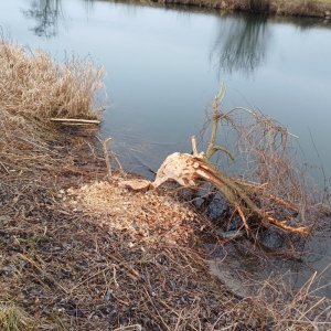 20250127_152305.jpg 20250127_152305.jpg