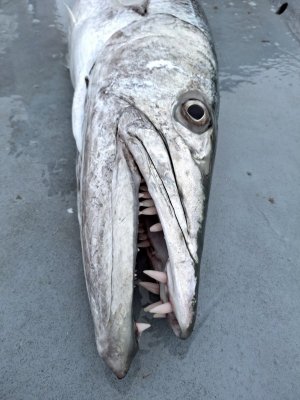 20250128_085835 Adam.jpg