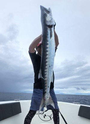 20250128_133646 hape hussain.jpg