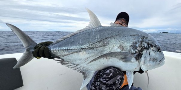 20250128_134410 hape hussain.jpg