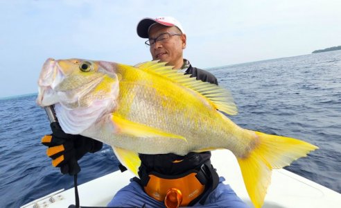 20250129_085843 hape hussain.jpg