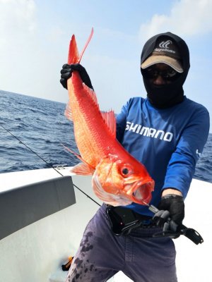 20250129_093501 hape hussain.jpg