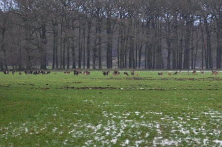 DSC_2932B.jpg