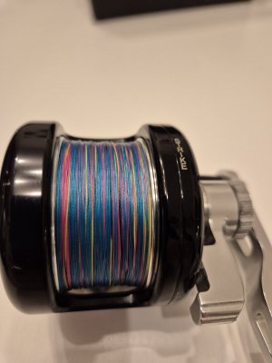 20250120_204302.jpg