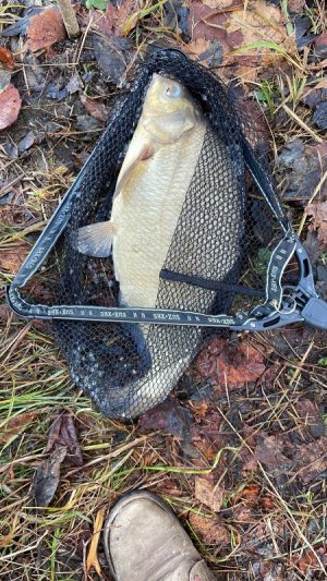 10775AC4-23D8-487E-8829-A4E43841BC13.jpeg 10775AC4-23D8-487E-8829-A4E43841BC13.jpeg