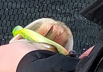 20250202_141806.jpg 20250202_141806.jpg