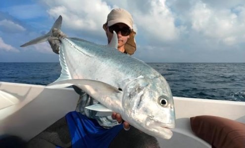 475647201_494068080091097_4910375635718006545_n.jpeg 475647201_494068080091097_4910375635718006545_n.jpeg