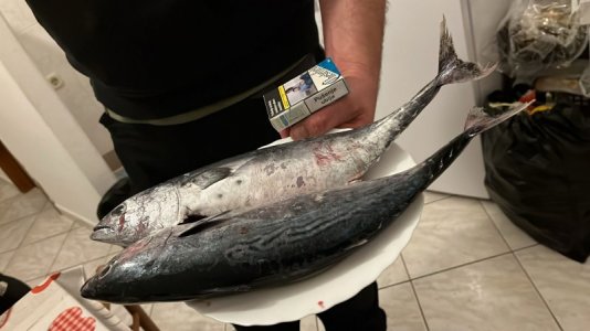 WhatsApp Image 2025-02-09 at 20.43.59.jpeg