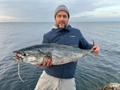 WhatsApp Image 2025-02-08 at 23.55.35.jpeg