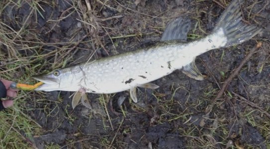 DSC04327.JPG DSC04327.JPG