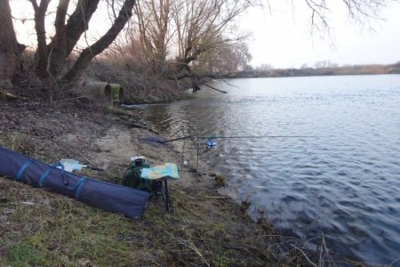 DSC04328.JPG DSC04328.JPG