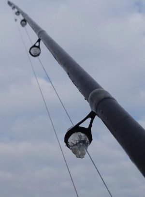 DSC04356.JPG DSC04356.JPG