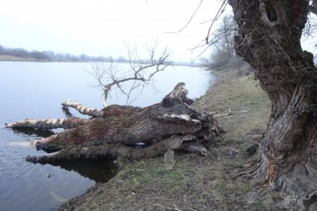 DSC04363.JPG DSC04363.JPG