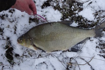 DSC04387.JPG DSC04387.JPG