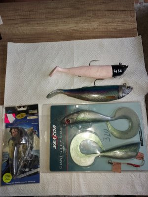 20250214_120558.jpg