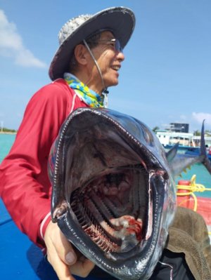 IMG-20250212-WA0009 hape hussain.jpg