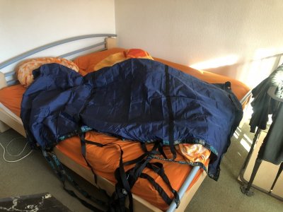 IMG_4395.jpeg
