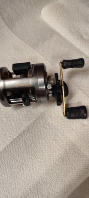 Shimano Corvalus 2.jpg