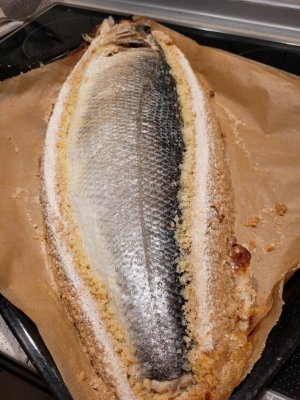 20250220_192518.jpg 20250220_192518.jpg