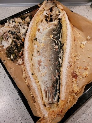 20250220_195756.jpg 20250220_195756.jpg