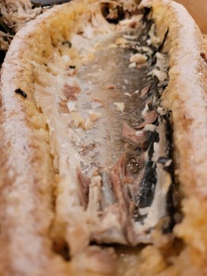 20250220_195812.jpg 20250220_195812.jpg