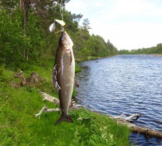 DSC02233.JPG DSC02233.JPG