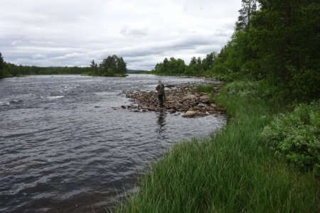 DSC02247.JPG DSC02247.JPG