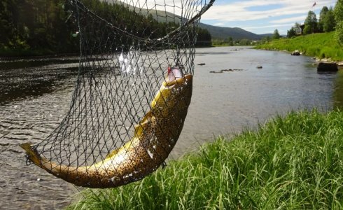 DSC02264.JPG DSC02264.JPG