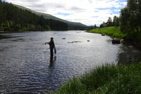 DSC02294.JPG DSC02294.JPG