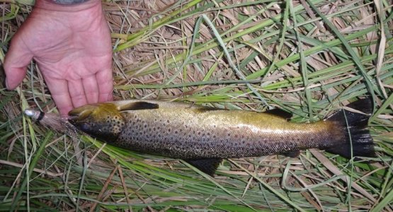 DSC02325.JPG DSC02325.JPG