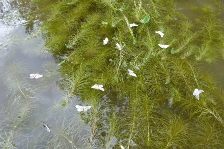 DSC02392.JPG DSC02392.JPG