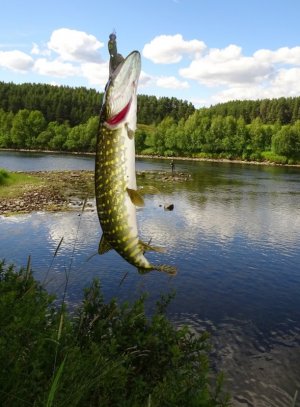 DSC02397.JPG DSC02397.JPG