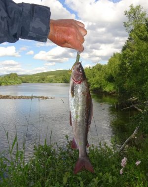 DSC02401.JPG DSC02401.JPG