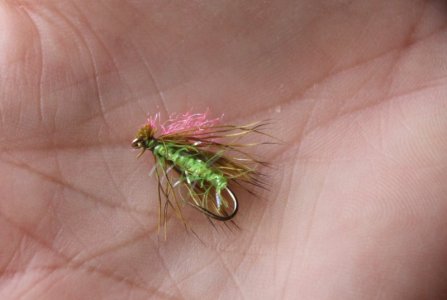 IMG_6103.JPG IMG_6103.JPG