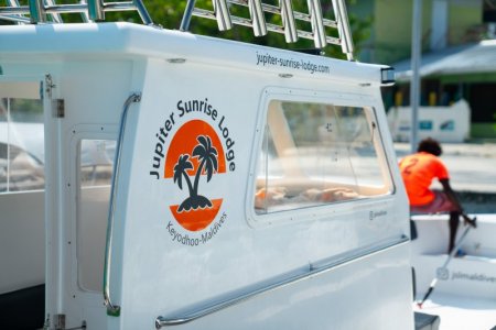 2025-02_J10-22.jpg 2025-02_J10-22.jpg