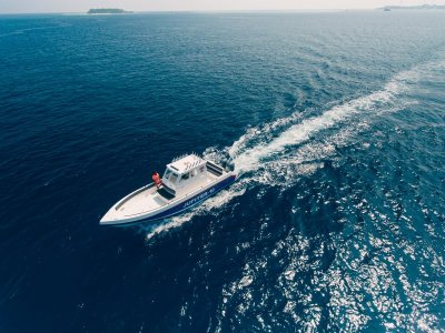 2025-02_J10-24.jpg 2025-02_J10-24.jpg