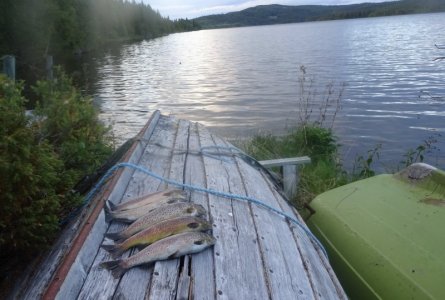 DSC02200.JPG DSC02200.JPG